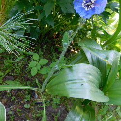 DSCN46750565660b17a39b97