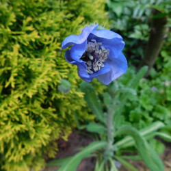 DSCN47594349042da6226579
