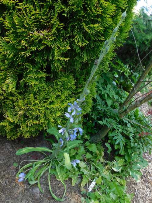 DSCN54083d16b34284d473e4.jpg