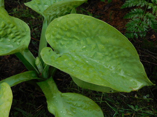 DSCN5513a1d59081ccf6869e.jpg