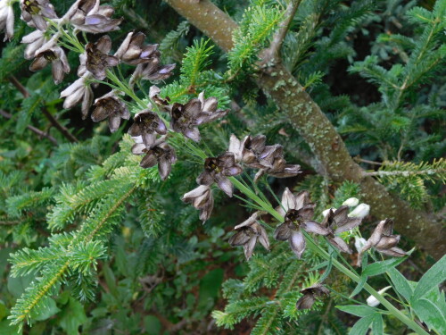DSCN5477bd69f555b453d5fc.jpg
