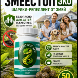 SKRINSOT-12-07-2026-001100da5fcce75f59c876.png