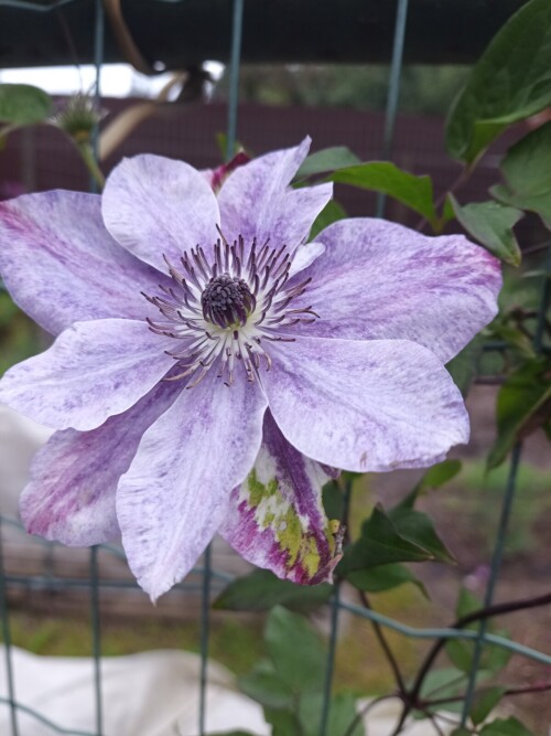 IMG_20260713_070540_679986703bed1d6303c.jpg