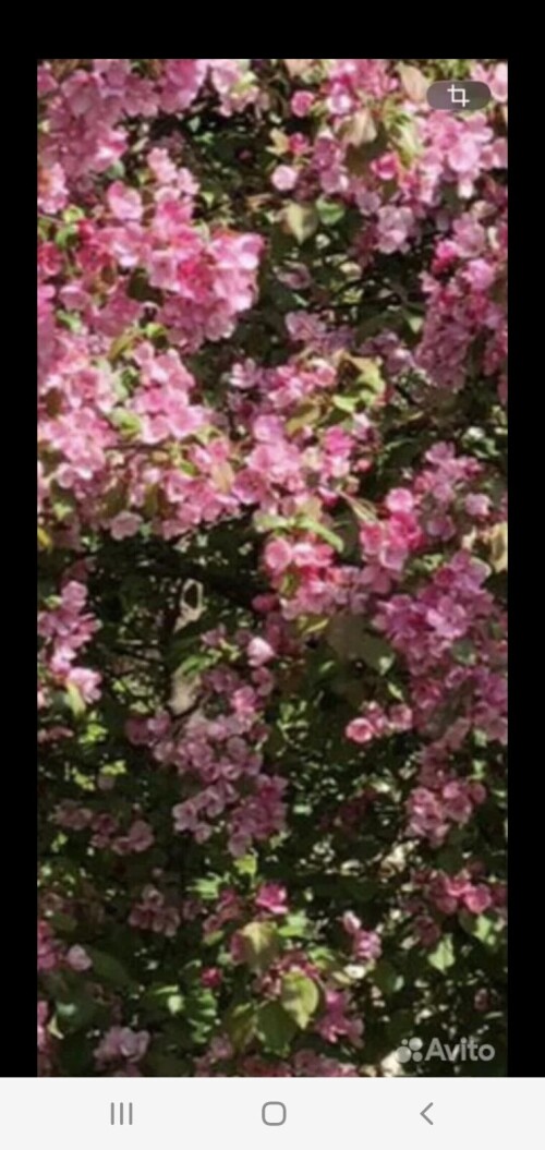 Screenshot_20260528_1206159d8e4fd276a6d041.jpg