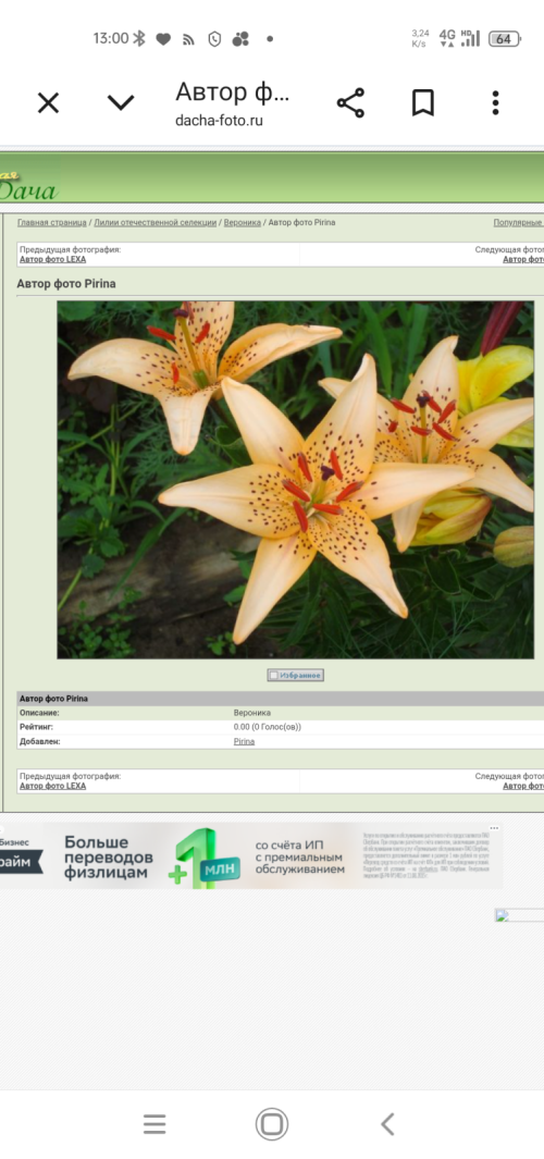 Screenshot_20260714-1300021279e8fcea9aeef0.png