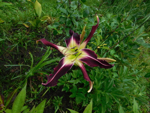 DSCN56015cfd99e61004e1c8.jpg