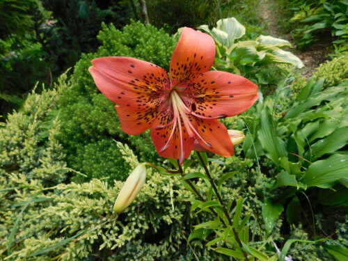 DSCN5548f721c0f120ec0c39.jpg