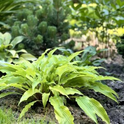 IMG_28343f8955c8ff1e6ea8
