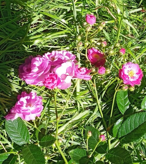 one-to-one6d771cbeb0c66d1f.jpg