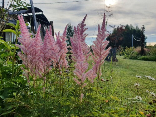 20260719_180440d86886bea422ce33.jpg
