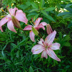 DSCN5617858050574ce55321