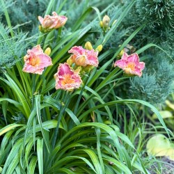 IMG_292383a6e5f37ce17a5e