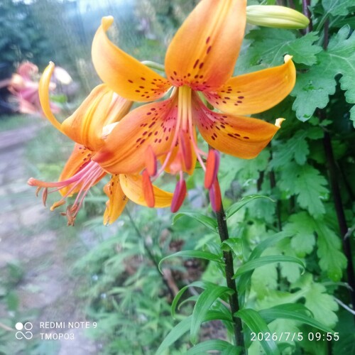 t2qXSmeLbgQ5ec7ks7qTk9u0vW8Dibr9t73BXQAPP16_cBEhU1TkYHfYXq_v0ziHuMyShpD7IFpIPlDVCjaYlnPV6a5b76623faf6ac8.jpg
